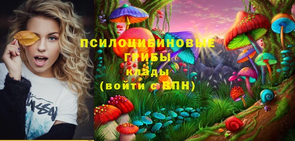 ALPHA PVP Ачинск