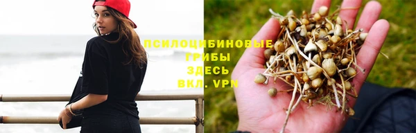 ALPHA PVP Ачинск